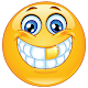 Funny WA Smileys Stickers  Download on Windows