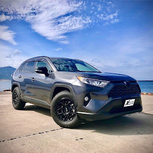 RAV4 MXAA54