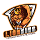 Download LionKing VPN SSH/SSL For PC Windows and Mac 1.6