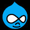 Item logo image for Drupal Changelog