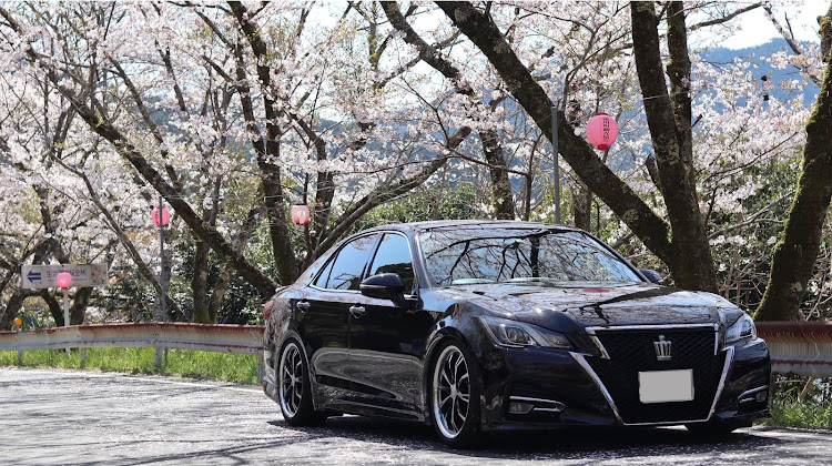 クラウンアスリートの和歌山・桜と愛車・古座川町・ホテル川久・コロナウイルスに負けるなに関するカスタム事例の投稿画像6枚目