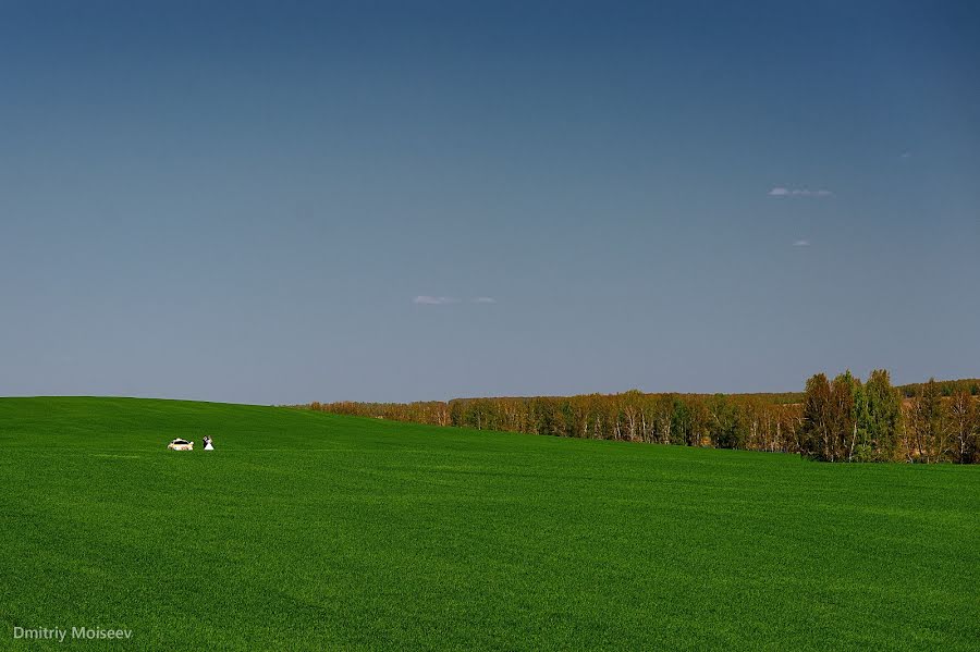 Hochzeitsfotograf Dmitriy Moiseev (moiseevfoto). Foto vom 11. Mai 2016