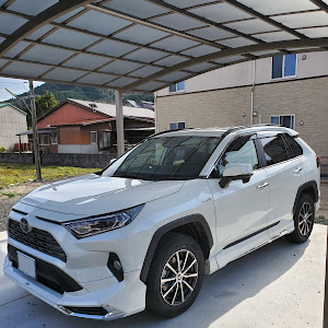 RAV4 ACA36W