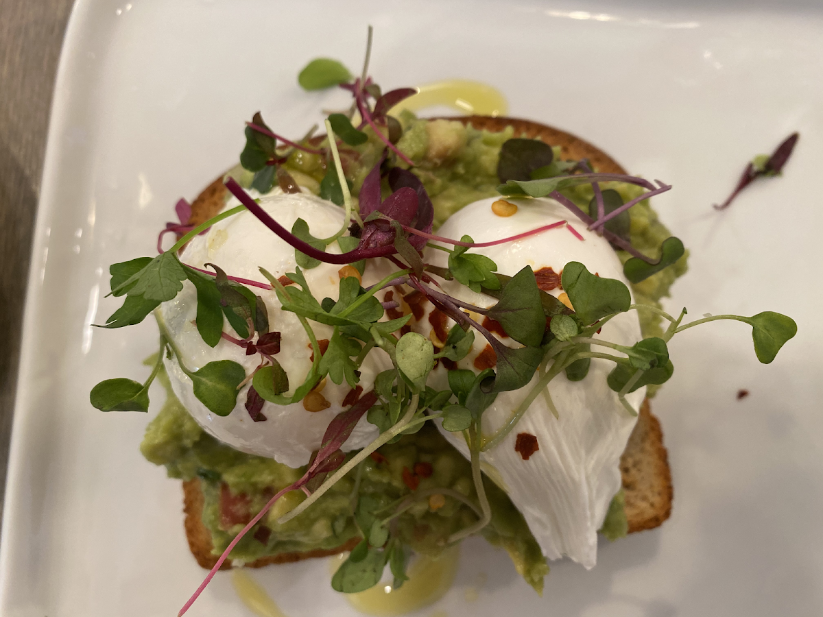 Avocado toast with poached eggs.  Gf bread, yum