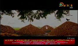 Deva tv