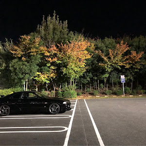 スカイライン ECR33