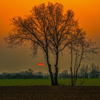 Naturalezza.... di Gian Piero Bacchetta