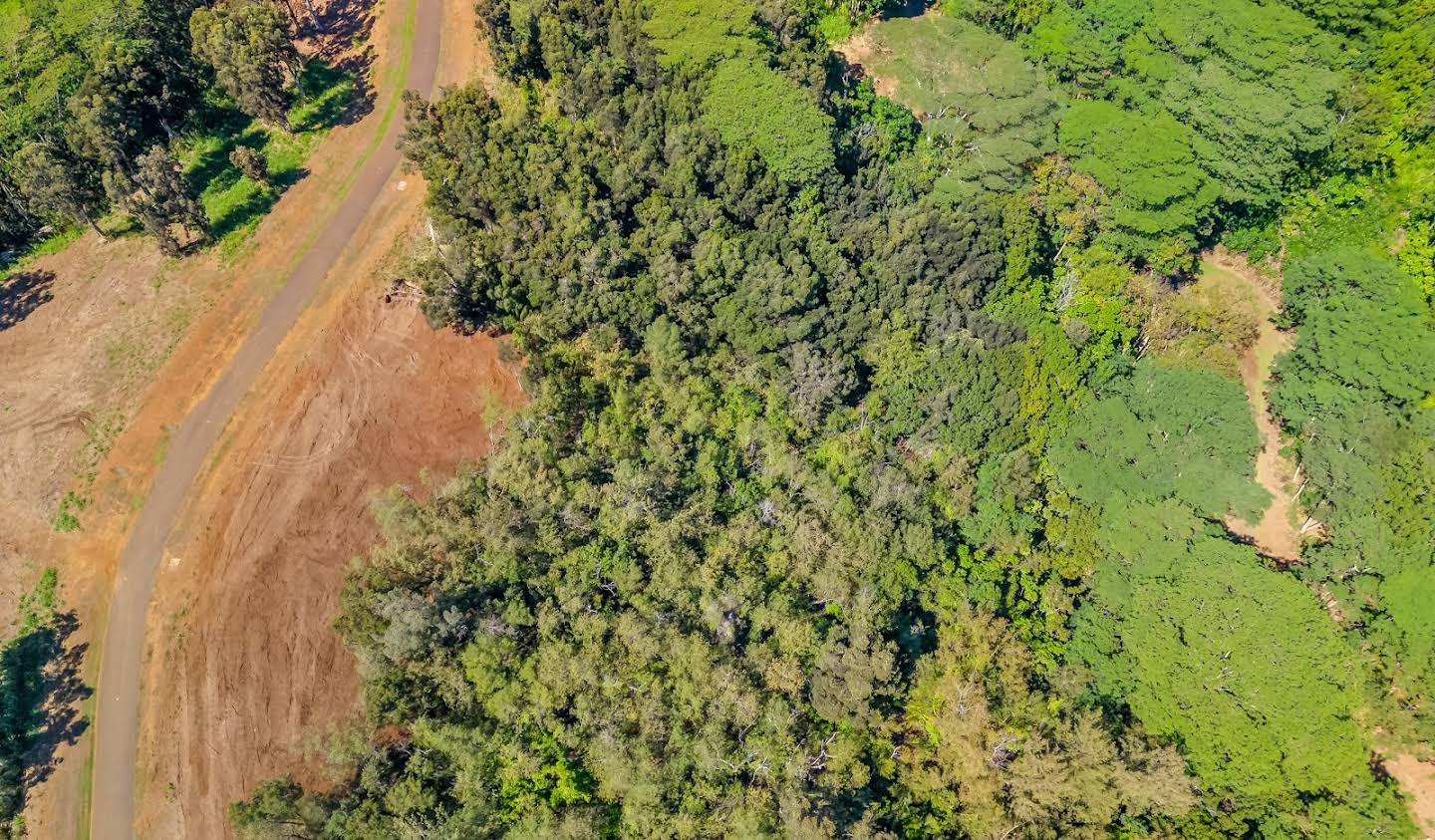 Terrain Kapaʻa