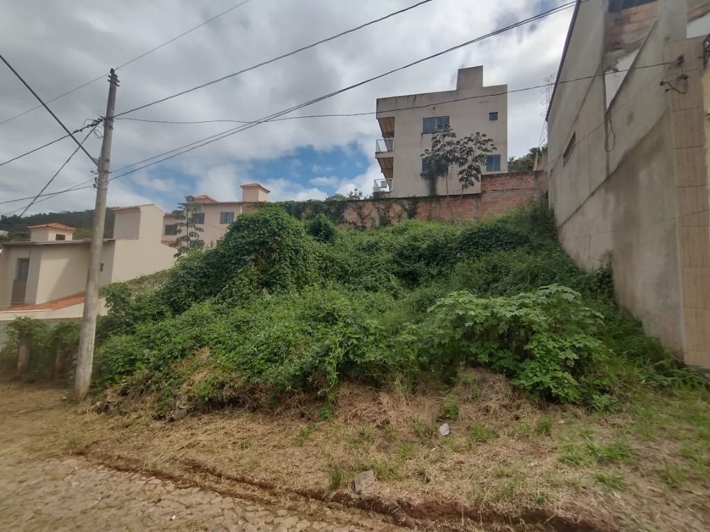 Terreno à venda, 366m² - Foto 1