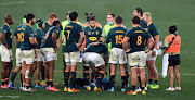 SA Rugby has reported a surplus due to the Springboks’ return to the playing field in 2021.
