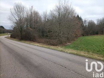 terrain à Saint-Junien (87)