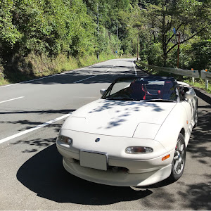 ロードスター NA8C