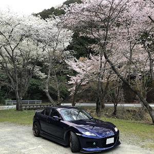 RX-8 SE3P