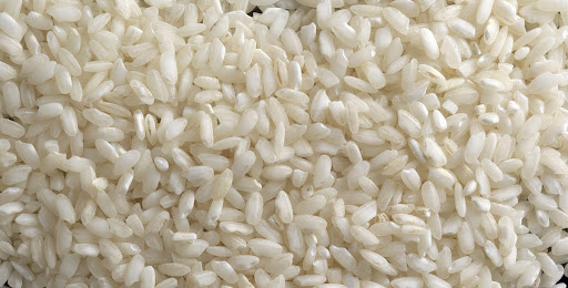 Riso del Delta del Po — Google Arts & Culture