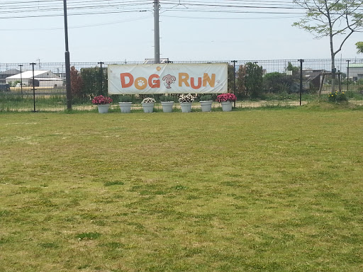 Dog Run