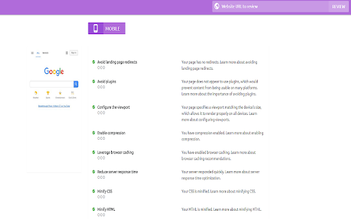 RankBio - SEO & Website Analysis