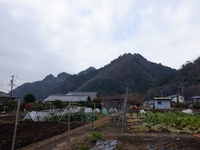 遠見山