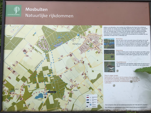 Mosbulten