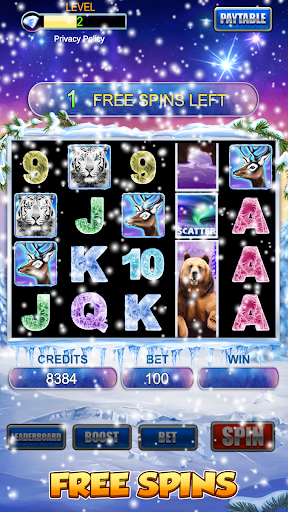 Slot Machine: Bear Slots