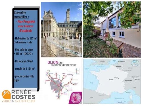 Vente viager 8 pièces 450 m² à Dijon (21000), 221 680 €