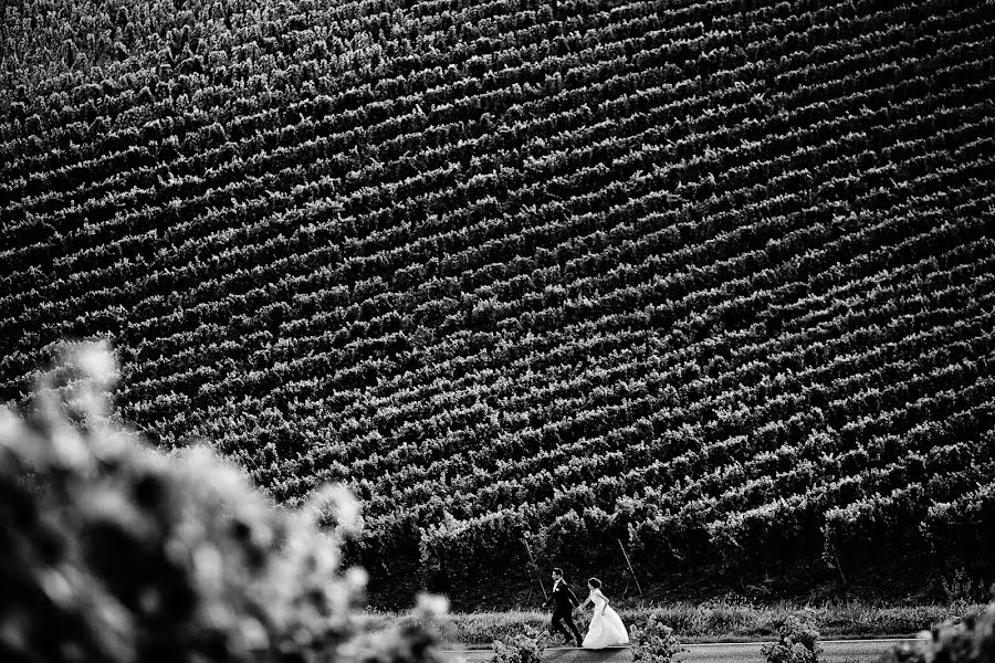 Svadobný fotograf Vlădu Adrian (vladuadrian). Fotografia publikovaná 10. októbra 2017