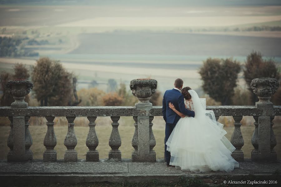 Fotógrafo de casamento Aleksandr Zaplacinski (zaplacinski). Foto de 1 de dezembro 2016