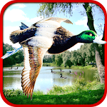 Sniper Duck Hunting Apk