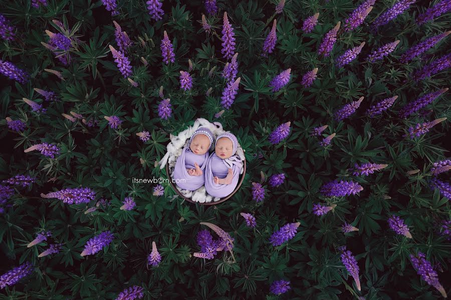 Fotógrafo de casamento Ivan Zamanukhin (zamanuhin). Foto de 31 de março 2021