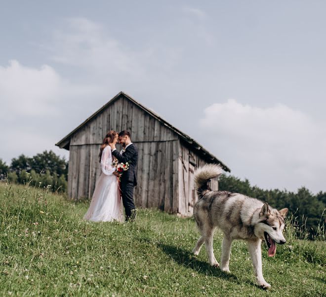 Bryllupsfotograf Artur Soroka (infinitissv). Bilde av 5 november 2019