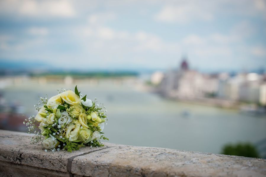 Jurufoto perkahwinan Éva Novák-Hajtó (evanovakphoto). Foto pada 25 Februari 2019