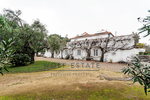 Villa avec piscine et jardin 5