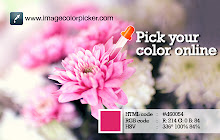 Image Color Picker - Pick your color online small promo image