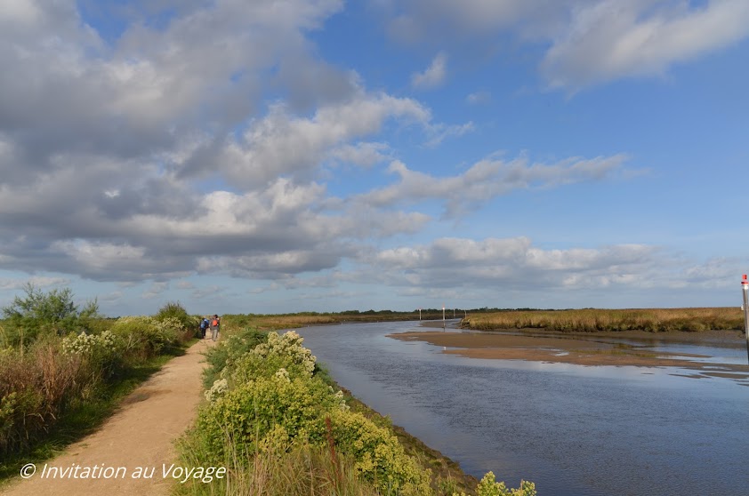 Parc ornithologique du Teich