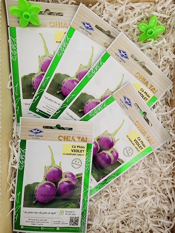 Hạt Giống Cà Pháo Lai F1 Violet (Gói 1G)