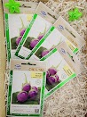 Hạt Giống Cà Pháo Lai F1 Violet (Gói 1G)