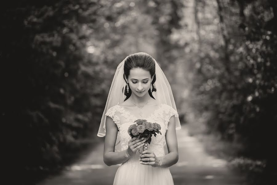 結婚式の写真家Yuliya Shalyapina (yulia-smile)。2014 12月18日の写真