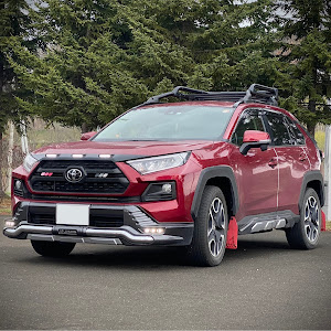 RAV4 MXAA54