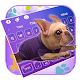 Download Live Cute French Bulldog Keyboard Theme 10001004