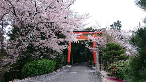 廣瀬神社鳥居