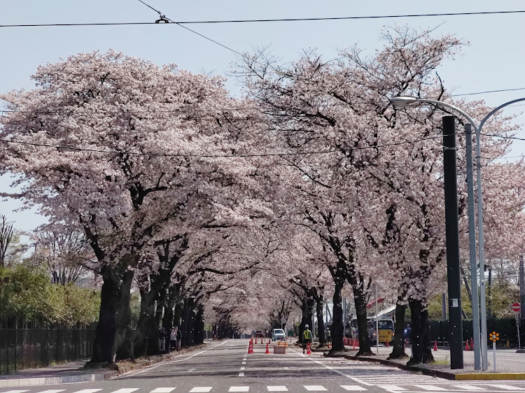 の投稿画像3枚目