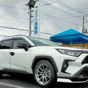 RAV4 MXAA52