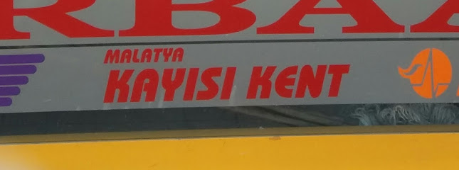 Kayısı Kent