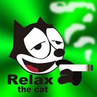 のりのプロフィール画像