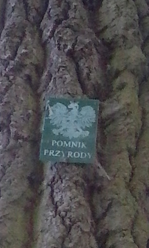 Pomnik Przyrody