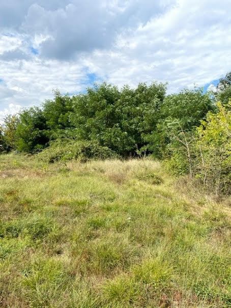 Vente terrain  9041 m² à Briare (45250), 377 000 €