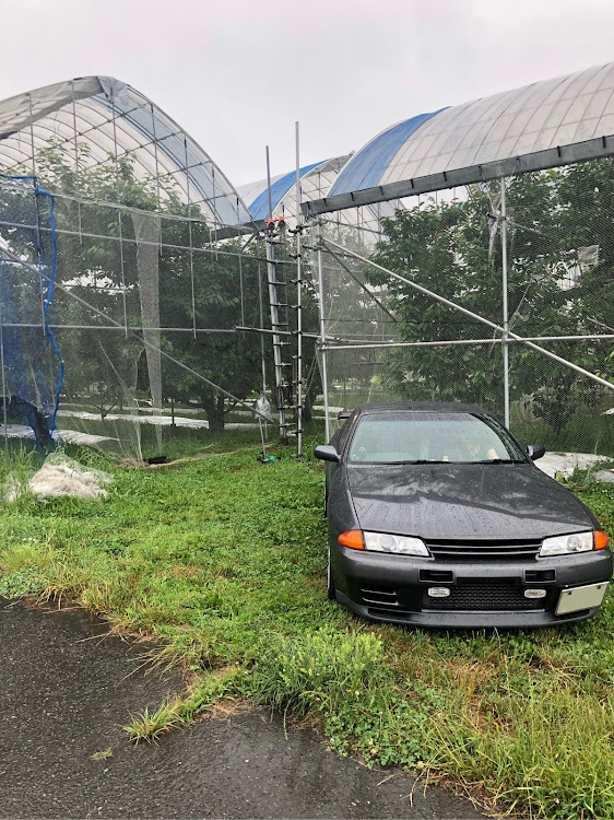 スカイライン GT-Rのぎゅうたろうさんが投稿したカスタム事例の投稿画像1枚目