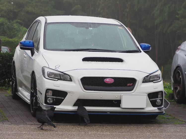 WRX STIの蛍光イエロー・自然に溶け込む⁉️・こっそりリニューアル計画中🙊・SUBARU・やっくんツーリングに関するカスタム事例の投稿画像6枚目