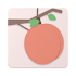 Peach icons1.9