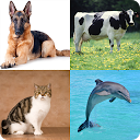تنزيل Animal Lover Quiz التثبيت أحدث APK تنزيل