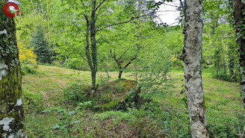 terrain à Saint-Salvy-de-la-Balme (81)